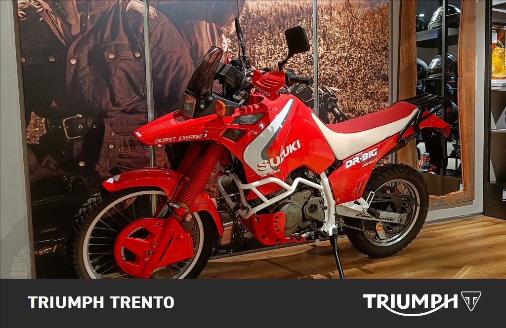 SUZUKI DR 800 S Big