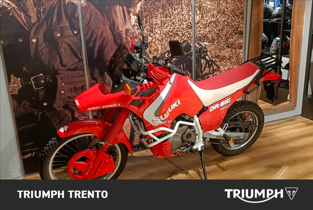 SUZUKI DR 800 S Big